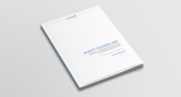 Die Audit-Guideline von Auditprotect unterstützt Sie bei Software-Lizenz-Audits